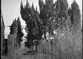 A Field Guide to Good Neighbors